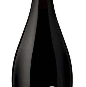 Gluseppe Verdi Lambrusco Bruscone вино красное полусухое игристое 0,75