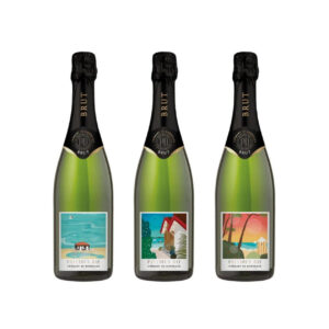 Вино Precious day Cremant de Bordeaux Brut игр.бел/сух.0,75л