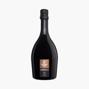 Вино игр.Capriani PROSECCO ROSE' DOC GABRIELLA 0,75л