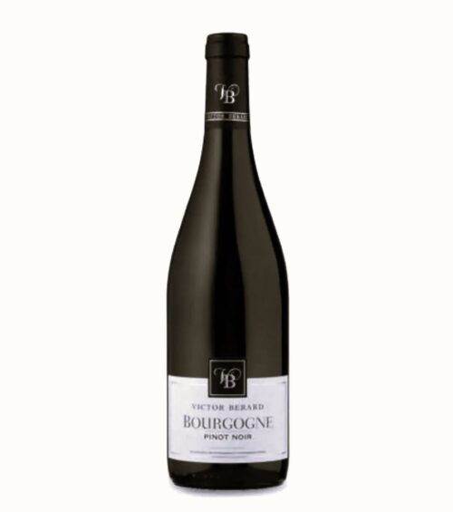 Вино Victor Berard Bourgogne Pinot Noir 12,5% (0,75L)